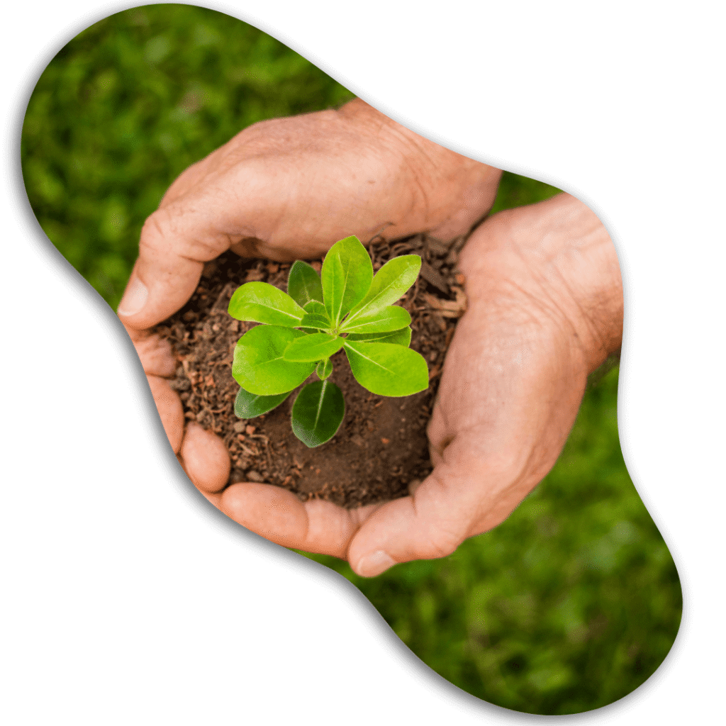 Mais Fácil Serviços Uberlândia