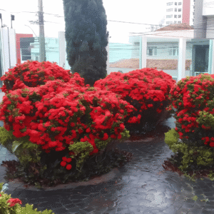 Mais Fácil Serviços Uberlândia