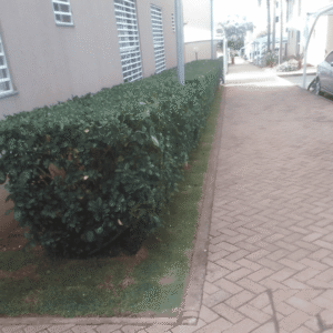 Mais Fácil Serviços Uberlândia