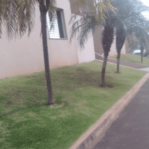 Mais Fácil Serviços Uberlândia