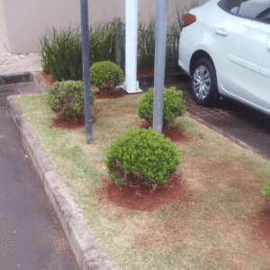 Mais Fácil Serviços Uberlândia