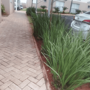 Mais Fácil Serviços Uberlândia